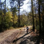 Boardwalk on Walnut Creek Trail Greenway