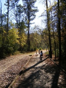Boardwalk on Walnut Creek Trail Greenway